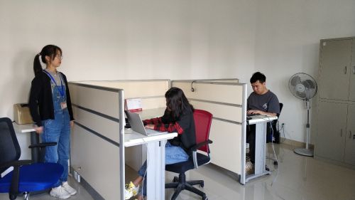 杨佩江同学和潘红霞同学参加全国网络复赛情况