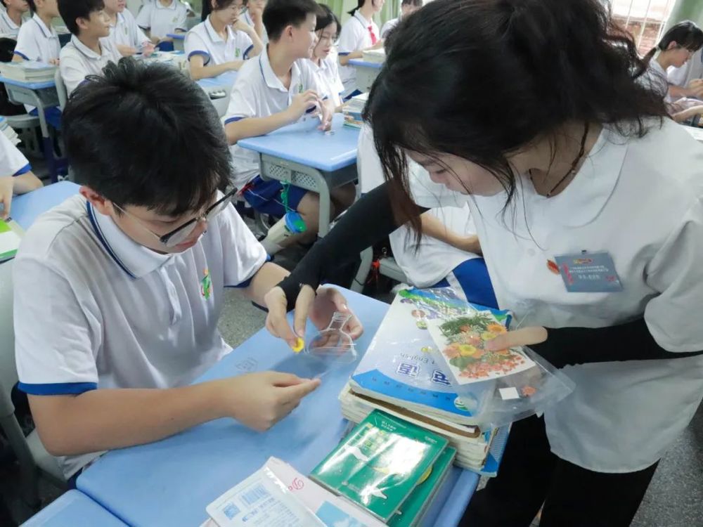 制作中草药书签2