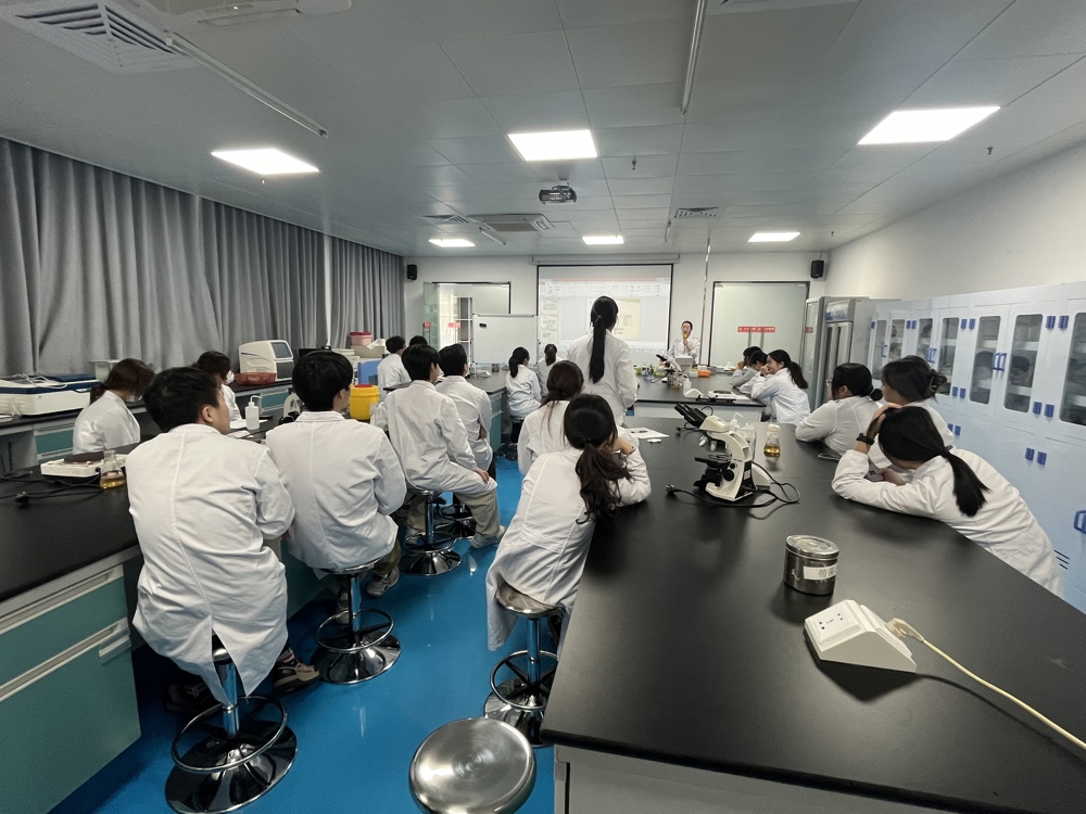 微信图片_20241123085504