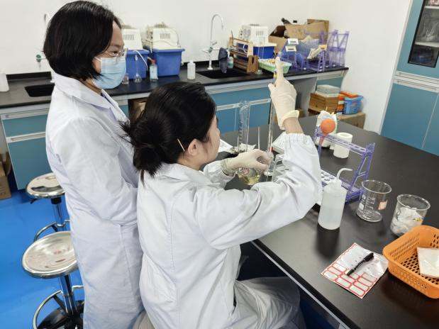 a37d558ea05329ea8e05f50ea31b5ea