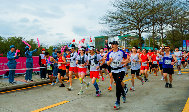 DSC01206-8__15048555