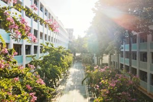 广州校区校园