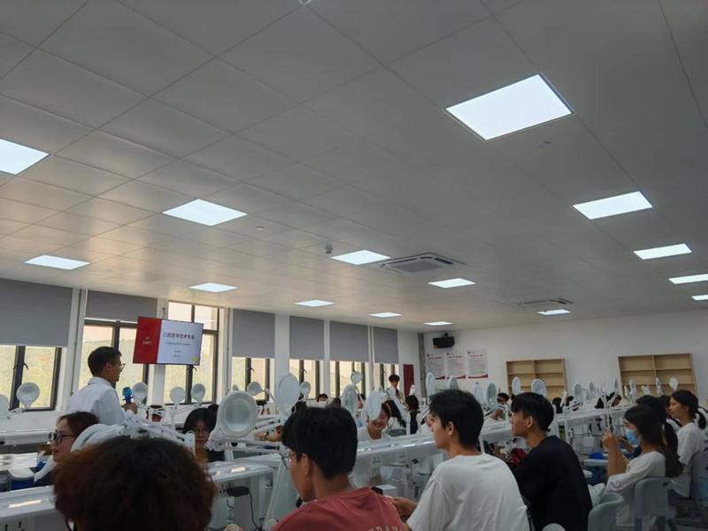 ba77017fb7eeedb1099e77a0788353b6