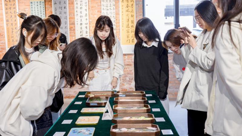 4060ccf4c831fe82f0c244c86200b388