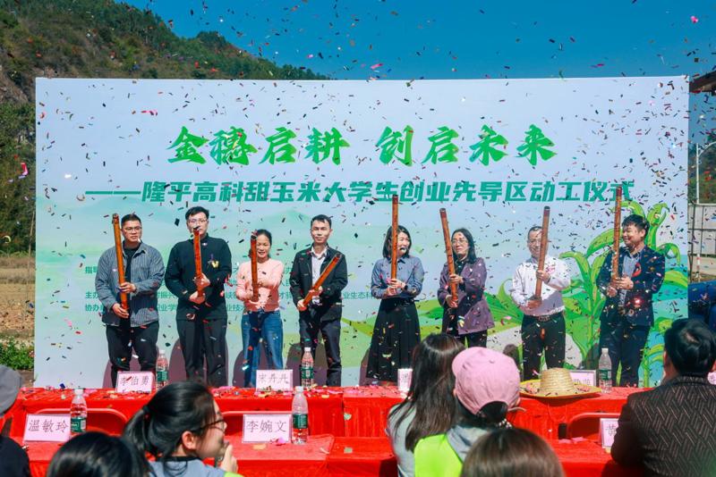 58e0fcd398ab234ff36c2d6a4bbca912