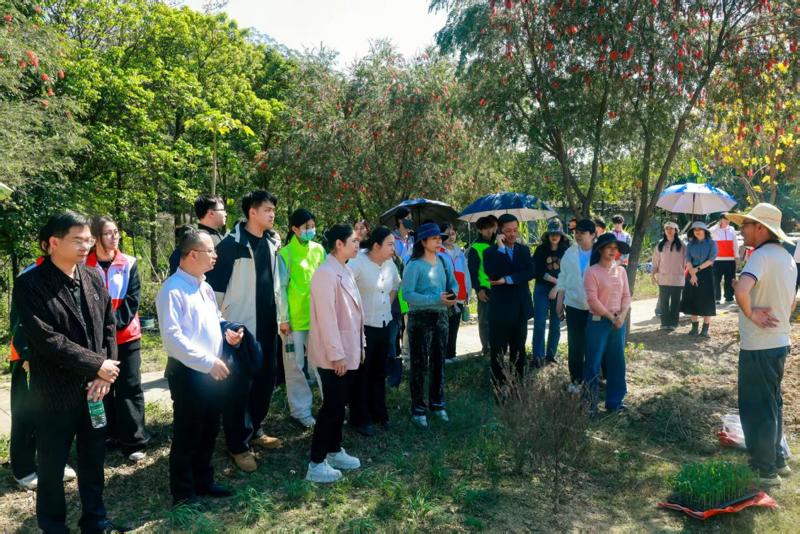 b2013ad6164f036bb304d55b7d0cf2a0