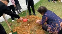  种下希望，一直幸福植树活动工作