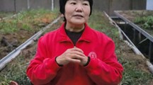 明德书院｜多肉课程开课啦！