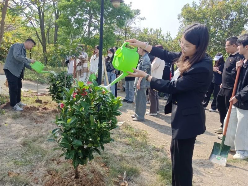 aaadd116c11b5107acfd72a0fa6266d4