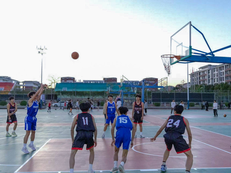 微信图片_20241128103643