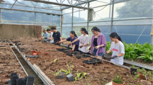 药学院（明德书院）劳动月实践纪实：躬耕药植基地，淬炼青春底色
