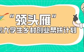 “领头雁”广东大学生乡村创业帮扶资助等你来申报！