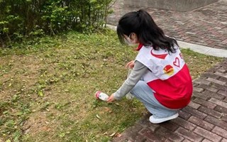雷锋月主题活动（七）|共创文明卫生校园，“红小荔”志愿在行动