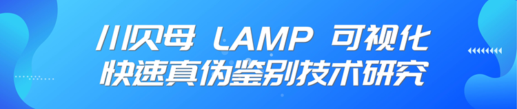 fdd516a89f1b4a3cb9a68a9cb26a082e.Png
