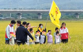 “青”志愿 稻香伴“星“影，田垄齐漫步