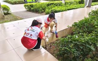 “青”志愿｜共建文明新校园，红荔聚力志愿行