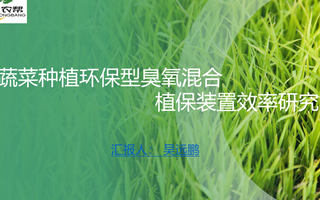 【2023挑战杯作品】01-蔬菜种植环保型臭氧混合植保装置效率研究