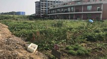 校企合作|乡村振兴教育学院与广东清生源农业投资有限公司　交流洽谈