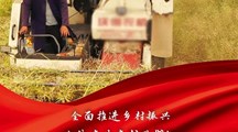 2021年中央一号文件来了，提出这些硬举措！