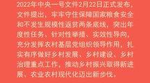 一图读懂｜2022年中央一号文件