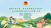 连州市保安镇农文旅产业青年推广大赛决赛暨颁奖仪式隆重举行