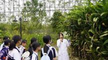 研学进行时——横荷中心小学走进我校中医药研学教育基地开展中医药研学活动