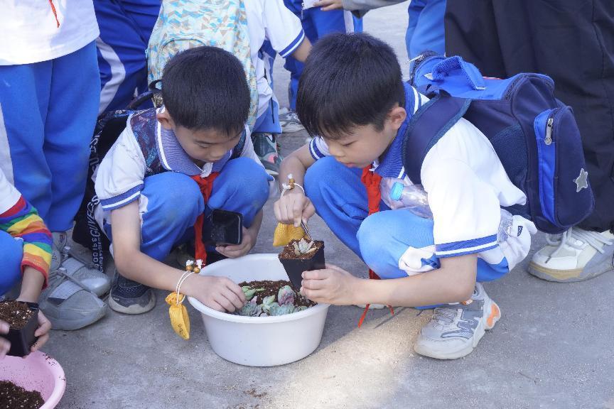 d45adfb1756b41169c56bb1a201c2912.jpg