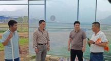 科技特派员下乡精准支招，赋能保安镇 “百千万工程” 高质量发展