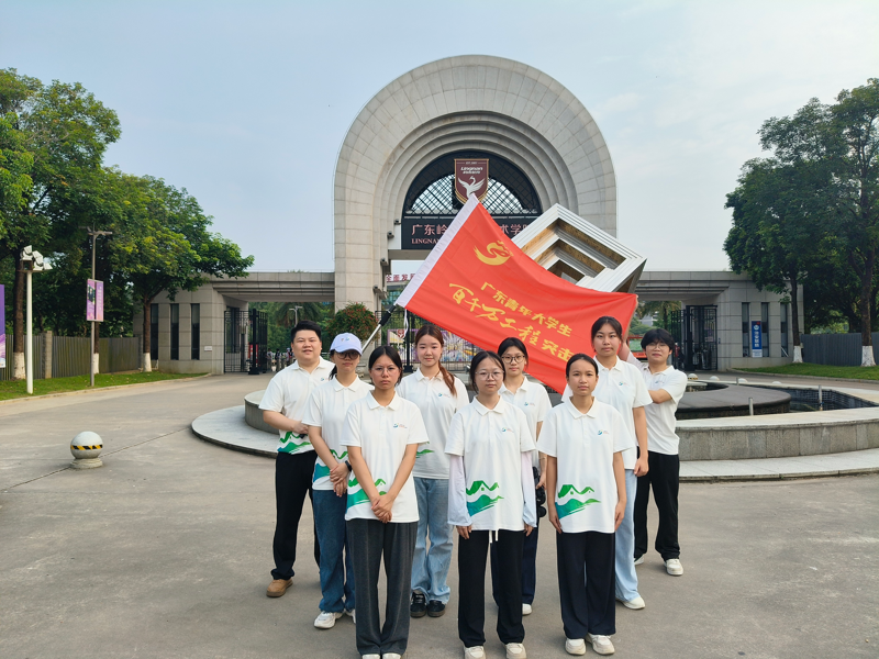 图片11