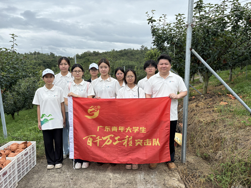 图片18