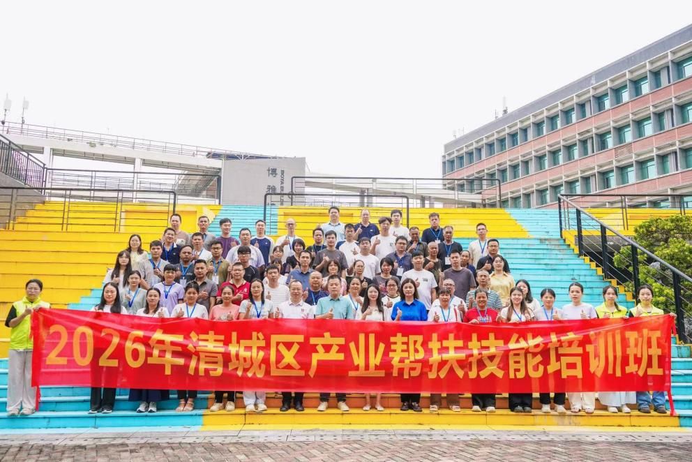 图片8