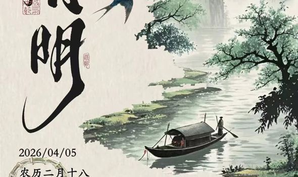 清明｜一半思念，一半春光🌿