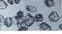 课程思政在“生物化学”课程中的实践