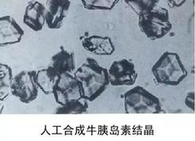 图片 5.png