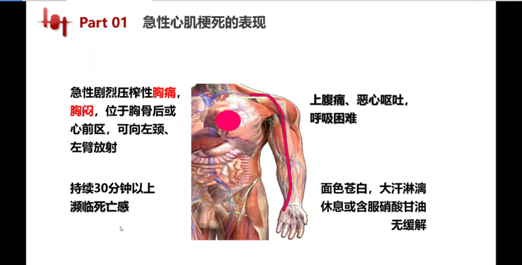 f556ec63a9094fb5bae8e211b507e370.Png