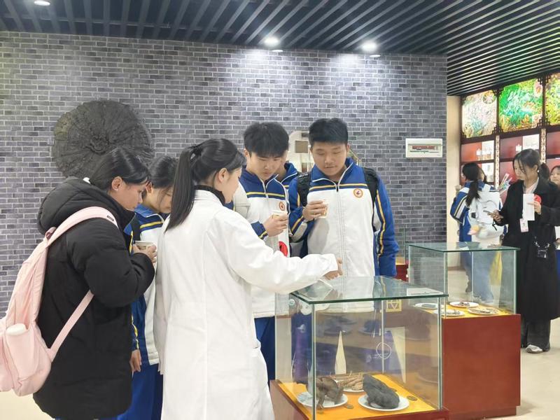 中药标本馆参观：揭开药材神秘面纱