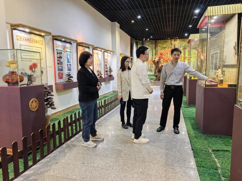 6539c35fc0fbcc852d01a6934f555fe