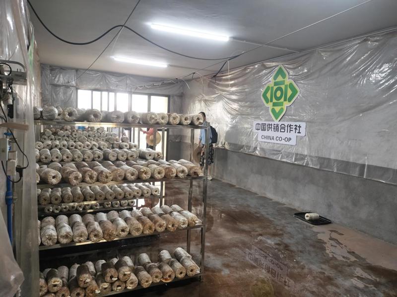 微信图片_20250611212152