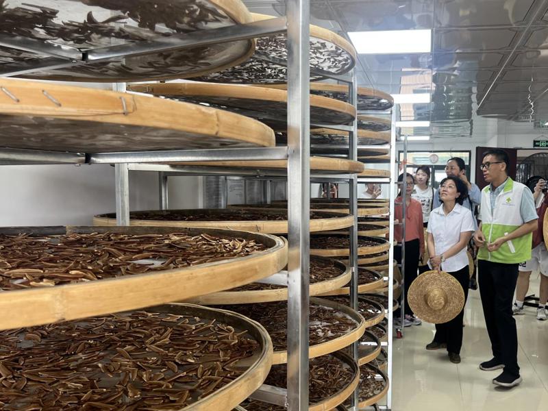 f0b336fb990240335cc1a316d51e5cf