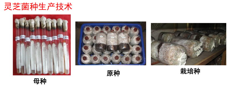 03ecd99c71da493995f7d021c866a582.png