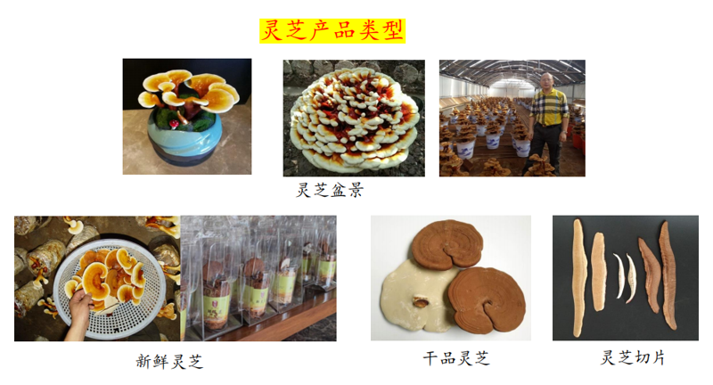 0cf7cec0e10b42ce97004472babb28df.png