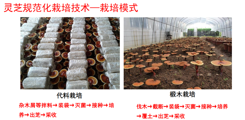f03881cdd6ae480eb496bca0254d9cf3.png