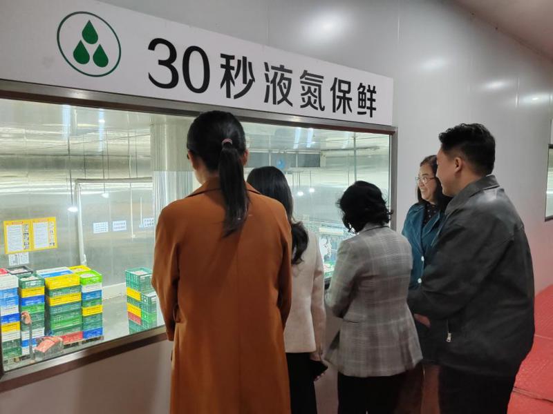 293c2a3ff876c43463a48ecfc352040c