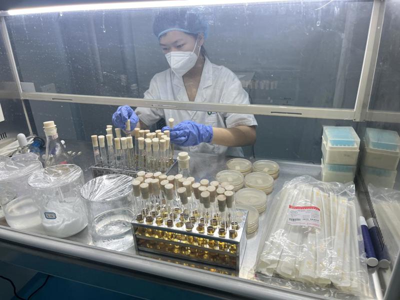 参赛师生积极备赛3