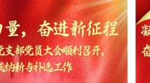 凝聚新力量，奋进新征程——药学院教师党支部党员大会顺利召开，圆满完成接收预备党员与委员补选工作
