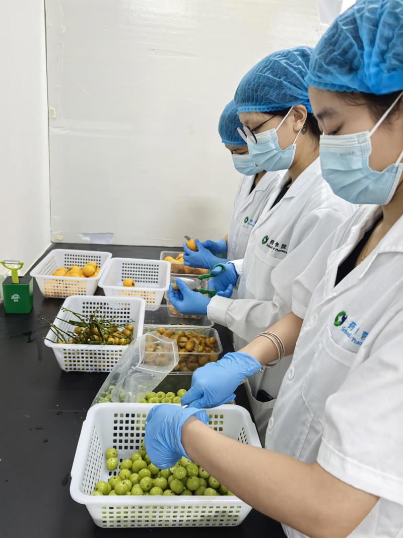 99175829b21049b28bc96abac43b4df3