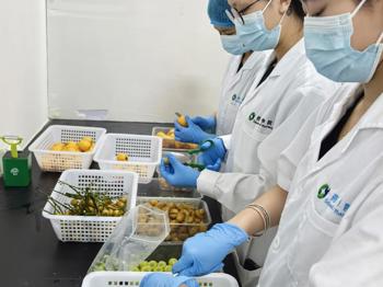 她把实验室当成“第二个家”：这位00后药检女孩的成长密码