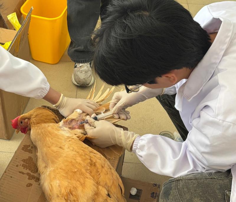 7983306fa9ea4690d2af0d2b1823c063