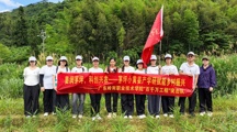 百千万工程｜姜香赴瑶乡，青春助振兴——茅坪小黄姜产学研振兴突击队基层助农行