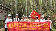 百千万工程 | 瑶乡问需，林下探“芝”——岭职药学青年赋能乡村的“双向奔赴”